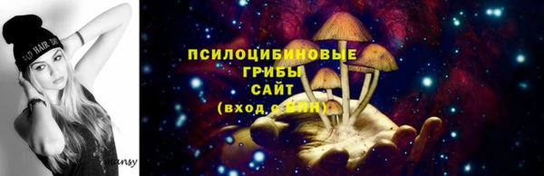 мяу мяу мука Алексин