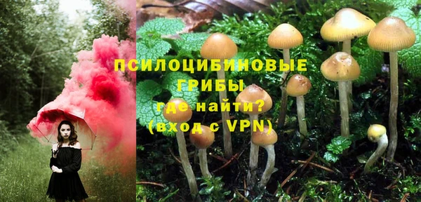 гидра Алексеевка