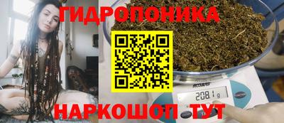 дживик Славгород