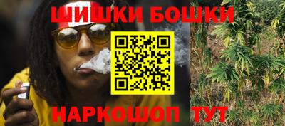 дживик Славгород