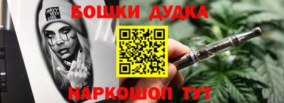 МДПВ Сланцы